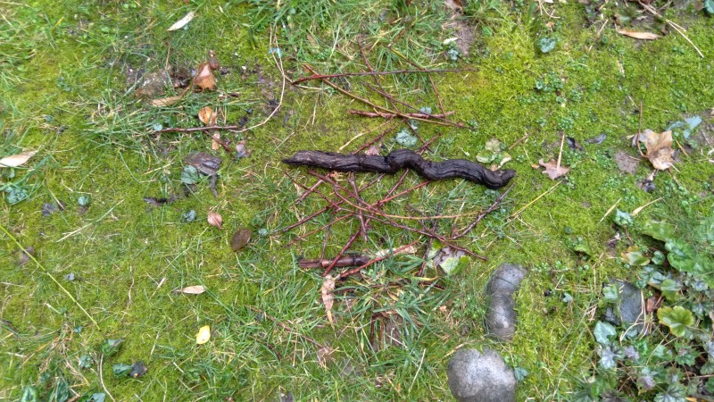 Bonne Année 2025 de guillaumetel4