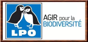 LPO (Ligue pour la Protection des Oiseaux