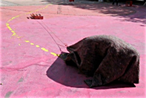 Nous et les maisons 2008