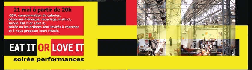 desordre urbain 2011