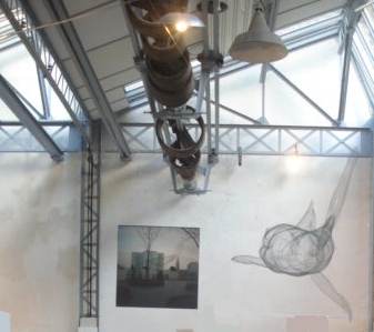 Requin Zo&eacute; Cauwet