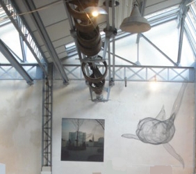 Requin Zo&eacute; Cauwet